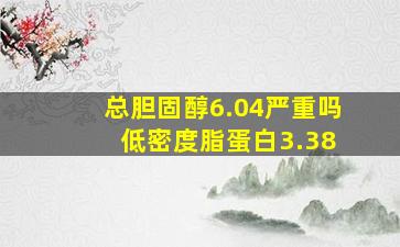 总胆固醇6.04严重吗 低密度脂蛋白3.38